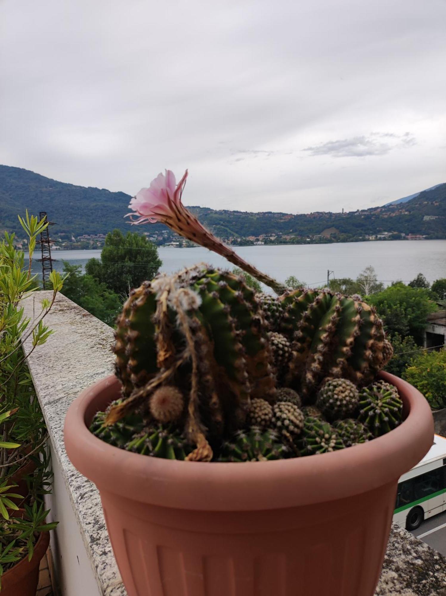 Terrazzo Sul Lago 莱科 外观 照片